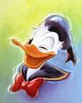 pic for Donald duck